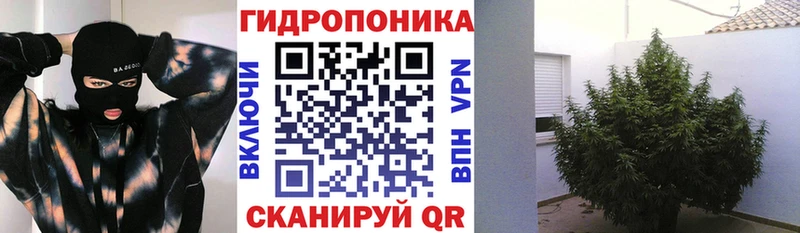 Бошки марихуана AK-47 как найти Поворино
